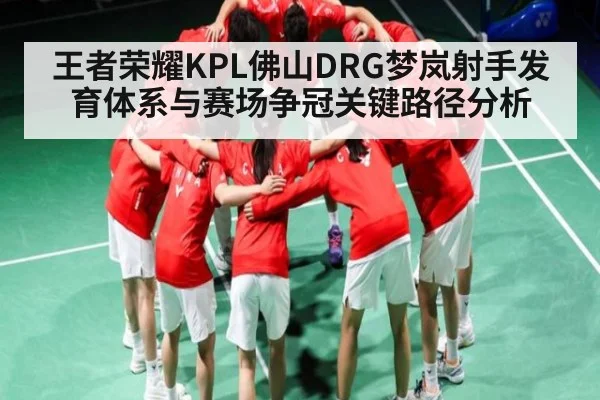 王者荣耀KPL佛山DRG梦岚射手发育体系与赛场争冠关键路径分析